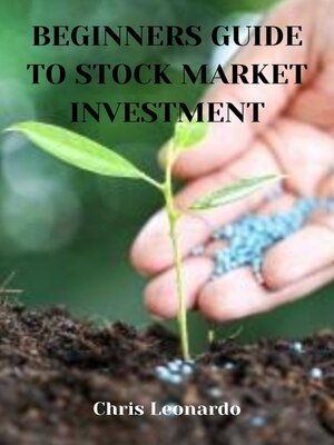 cover image of BEGINNERS GUIDE TO STOCK MARKET INVESTMENT